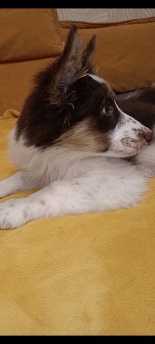 Девочка красотка