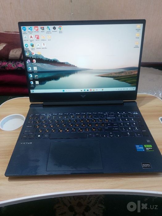 Hp victus 8/256.