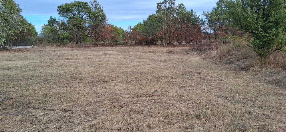 Teren intravilan 836 mp , deschidere 24 ml , zona linistita