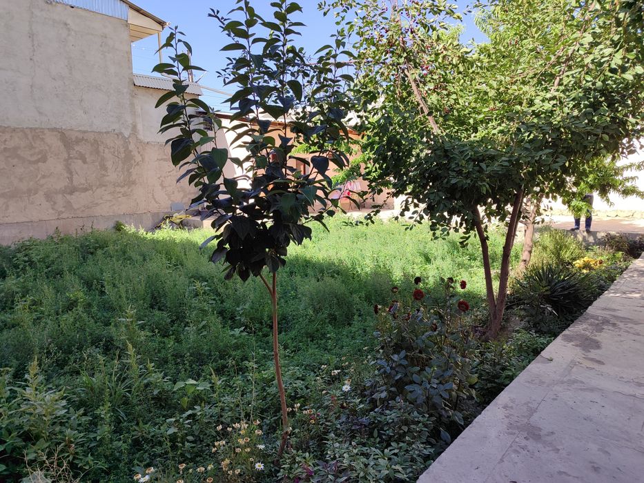 Ховлимиз 6.5сотих газ свет сўв доимий