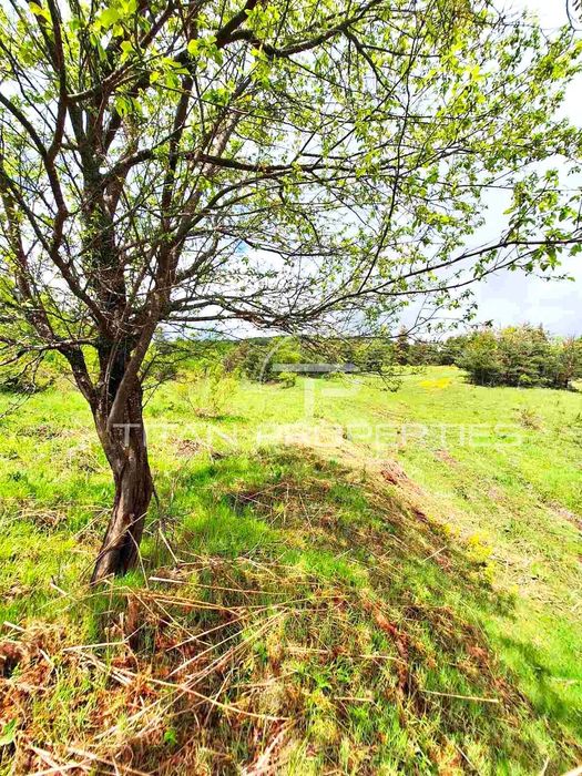 Продава се Парцел в Асеновград - 4700 кв.м за 24 €/кв.м - Снимка #3