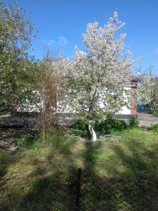 Продаётся жилой дом