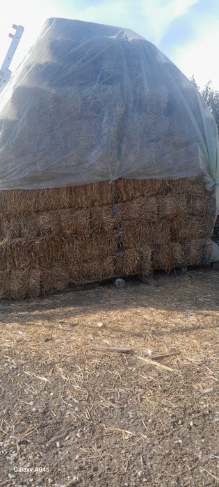 Baloți din paie de grîu