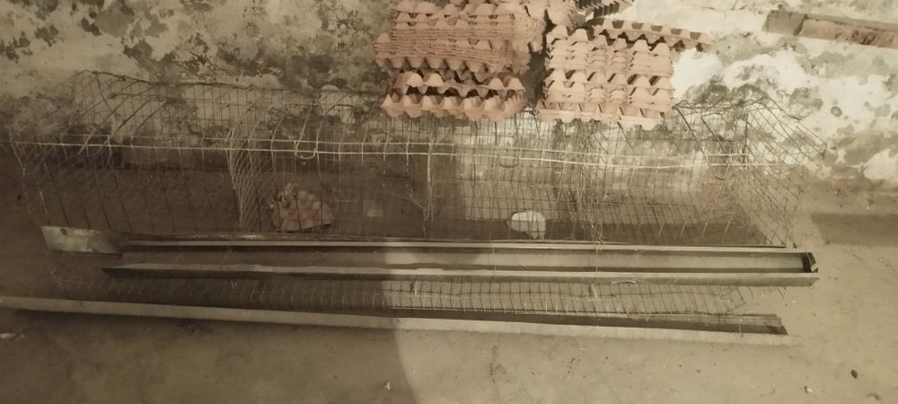 Товук сеткалари сотилади