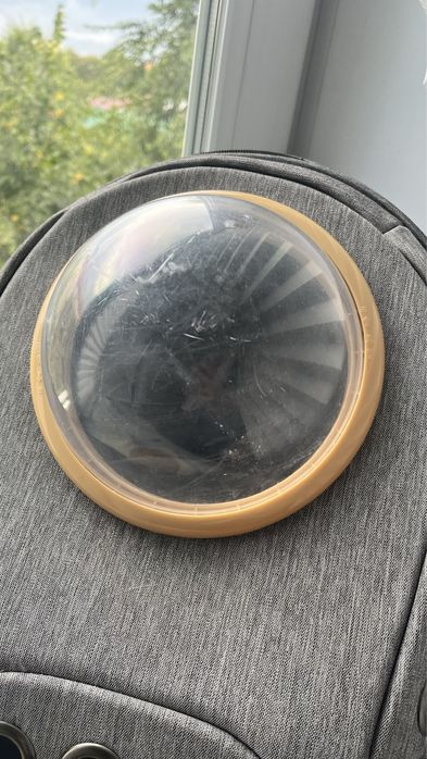 Переноска рюкзак для животных