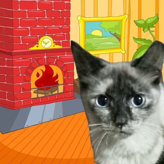 Кошка ищет заботливую семью