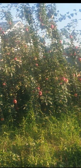 продам дом с.Байтерек