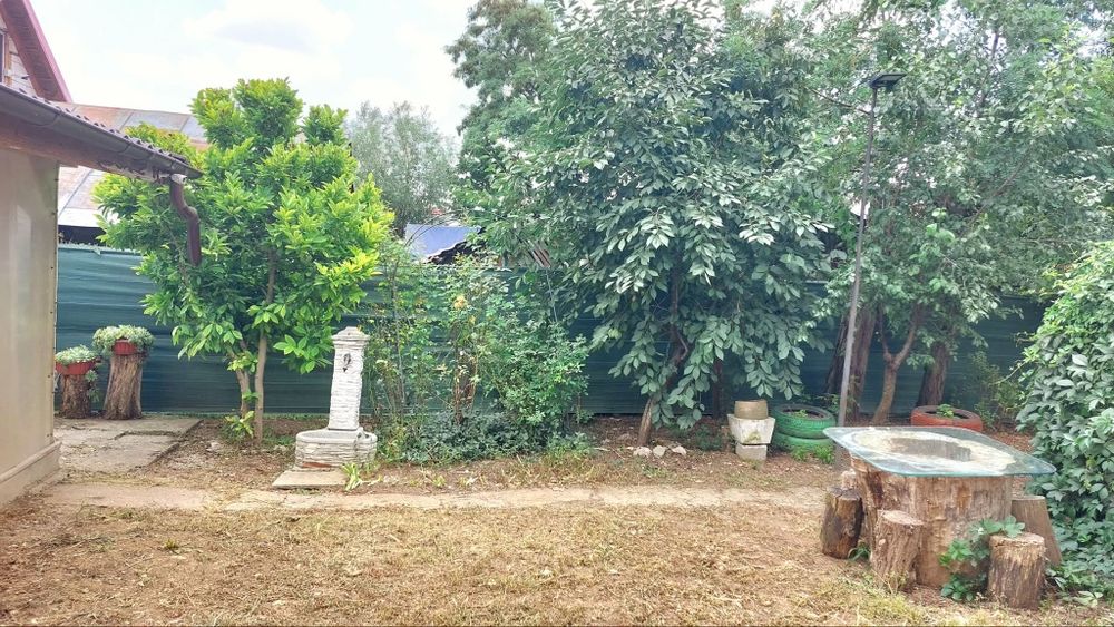 Vând casa în Periș sau schimb cu locuință în București