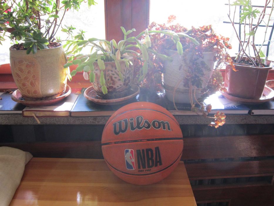 Баскетболна топка Wilson NBA