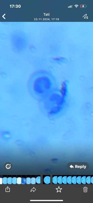 Meditatii admitere medicina/Biologie (Anatomie Fiziologie)