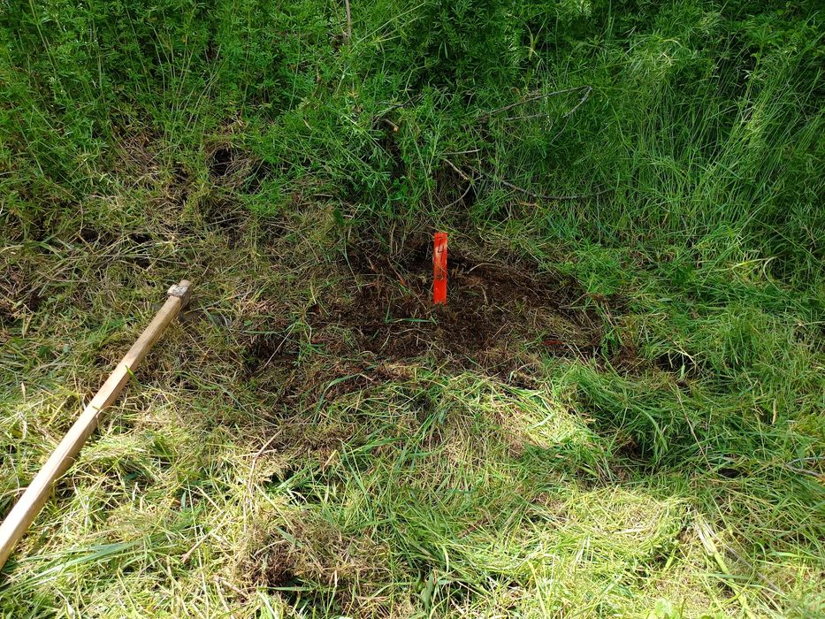 Парцел 400 кв.м. село Водица Варненско