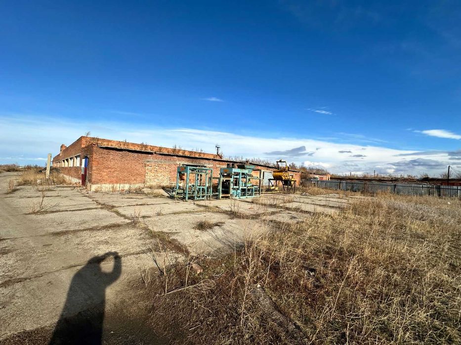 В продаже База новоявленка Алаш 1