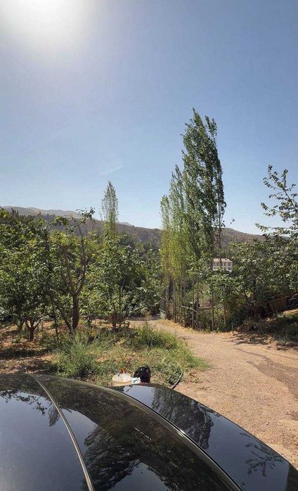 Продаётся участок 53 сотки с кадастром в Янгиабаде (сад и дом).