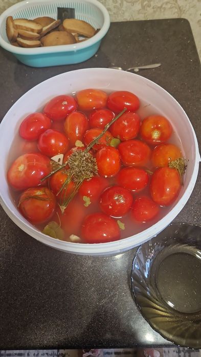 Бочковые помидоры