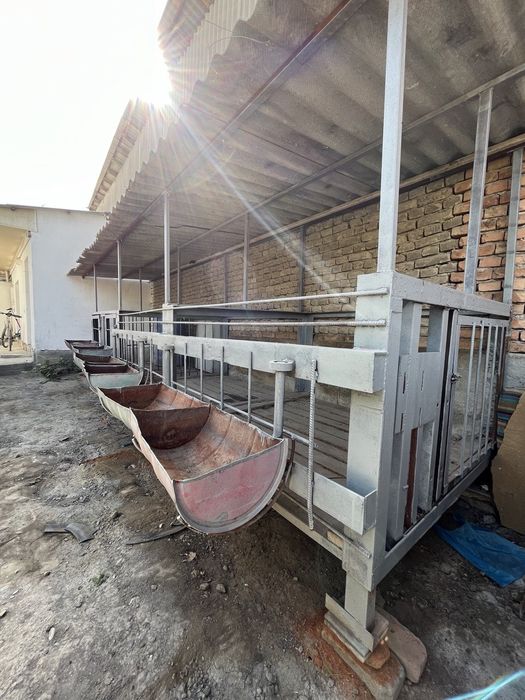 Qo'yxona, katak, sotiladi