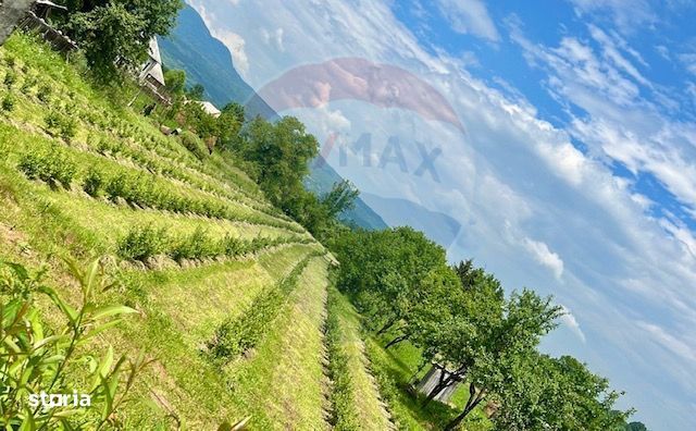 Teren intravilan 6.900mp BREB MARAMURES