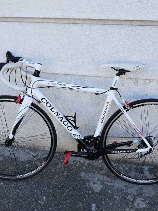 Cursiera Colnago carbon