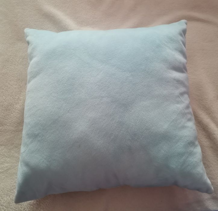 Калинката и черния котарак