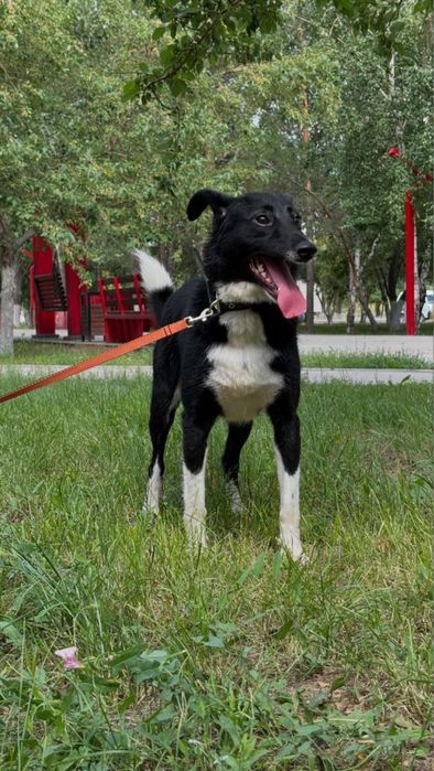 Девочка Томи