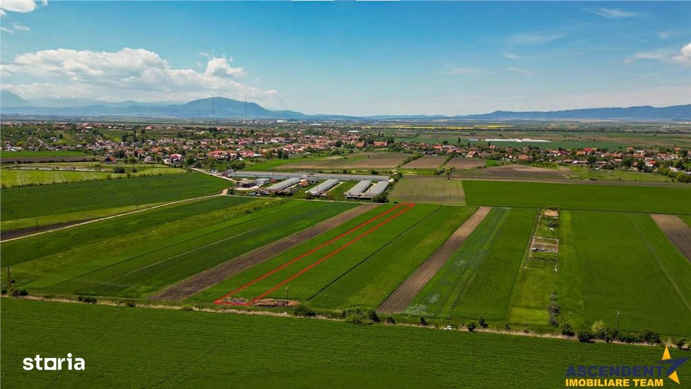 FILM! Teren extravilan 5.000 mp in zona linistita cu acces facil, Bod,