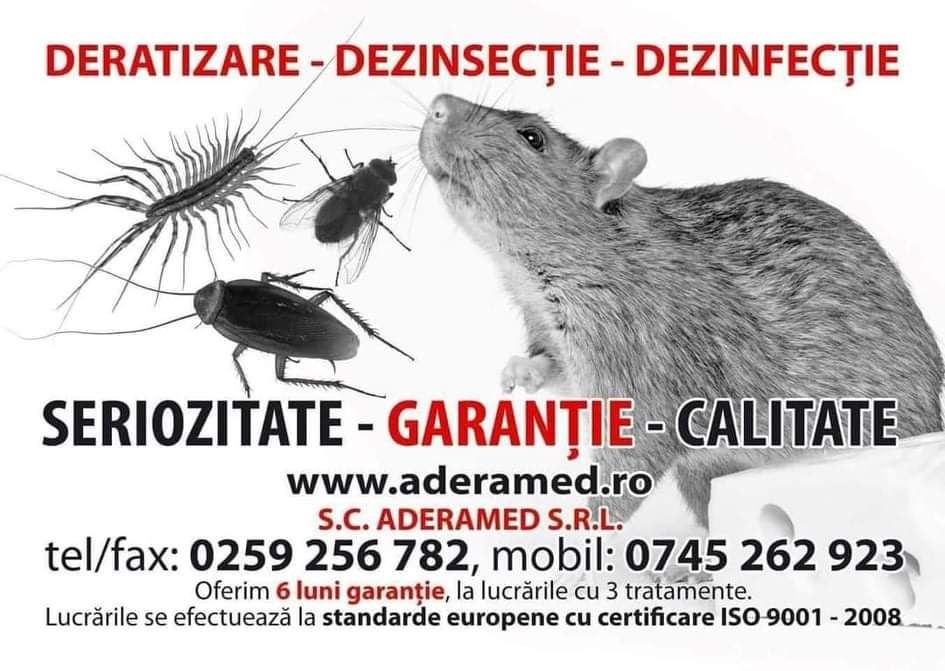 Prestam servicii de Deratizare Dezinsectie Dezinfectie PREMIUM !!!