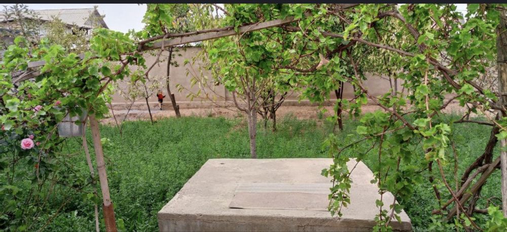 6 sõtix yir maydoniga qurilgan uy sotiladi