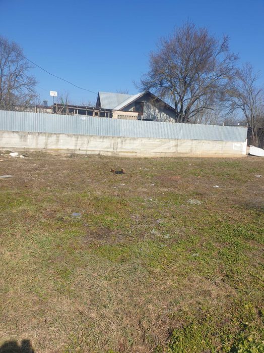 Teren 3 loturi BOLOVANI