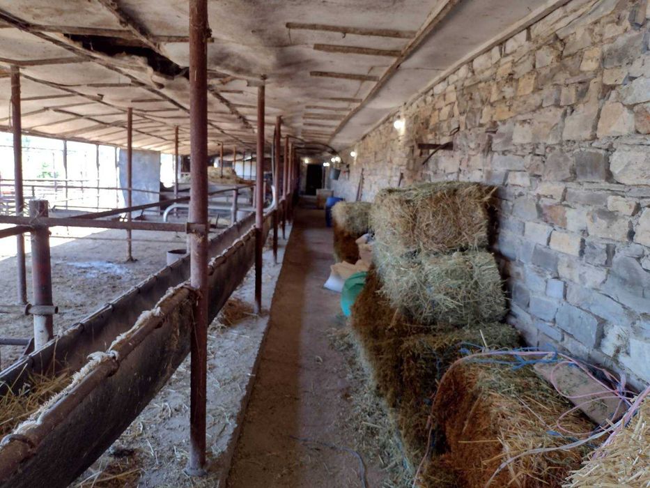 Продава се Промишлена сграда в Пловдив, Кършияка - 5000 кв.м за 20 €/кв.м - Снимка #6