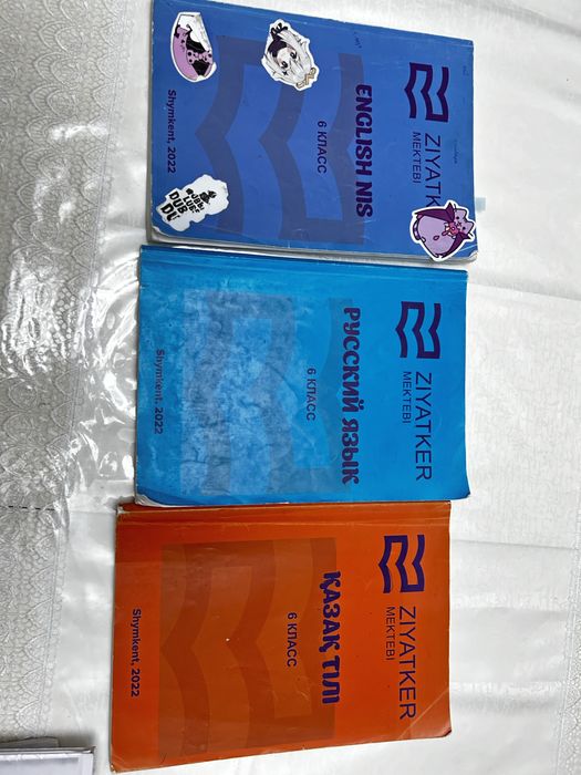 Книги для подготовки в НИШ