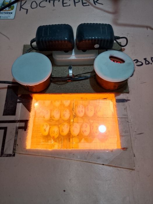 Инкубатор сатылады