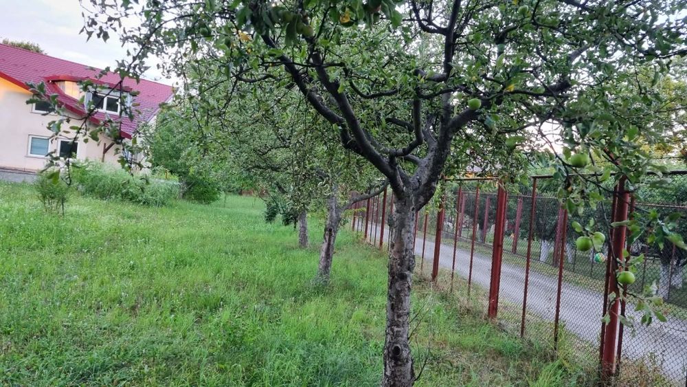 Casa spatioasa S+P+E cu teren generos de 2000mp