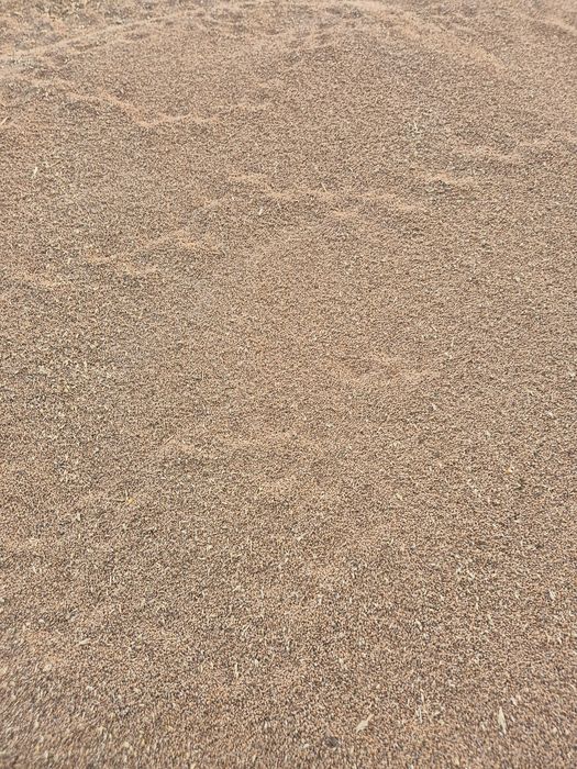 Vând grau 1.20 ambalat transport gratuit