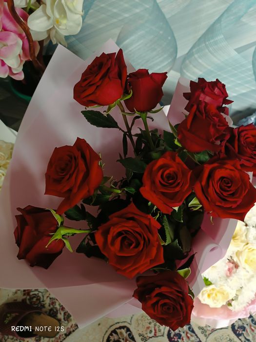 Продам цветы срочно