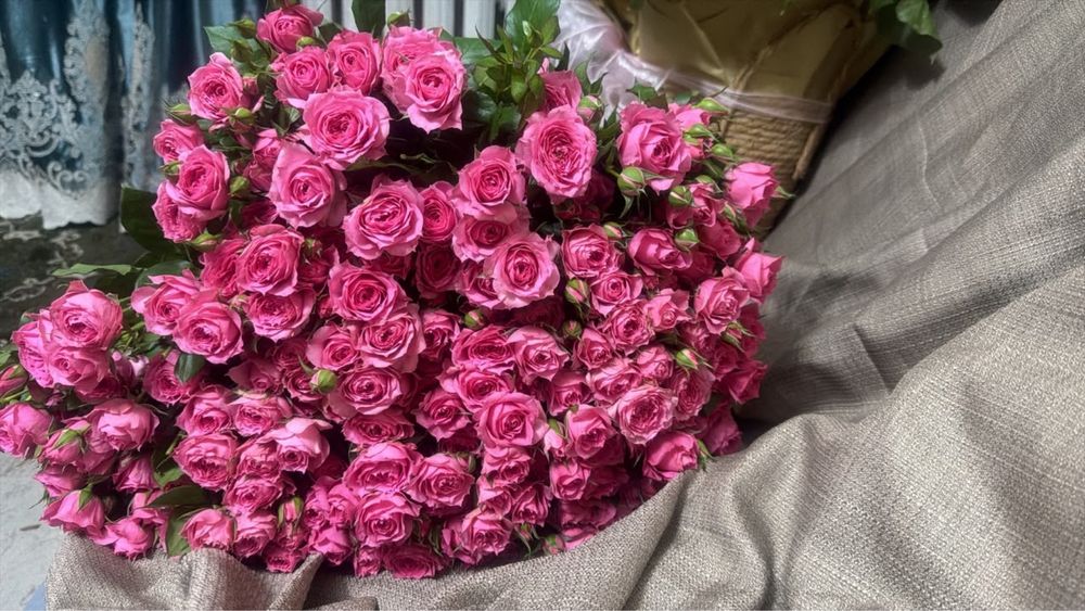 Продам цветы свежие