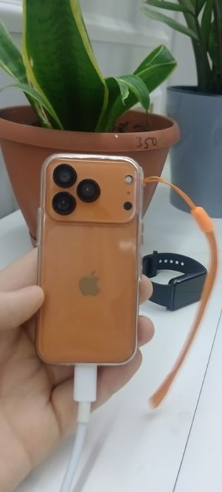 iPhone 17pro max mini
