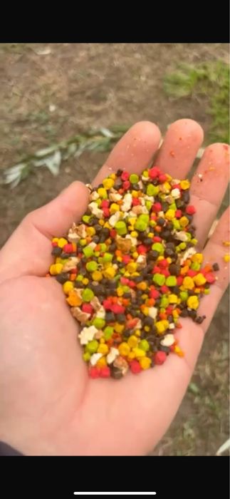 Execut baguri pescuit la comanda