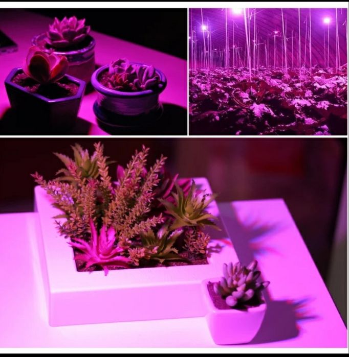 100w,200w,300w Прожектор за бърз растеж,Разсад,Фито лампа,Растения,Лед