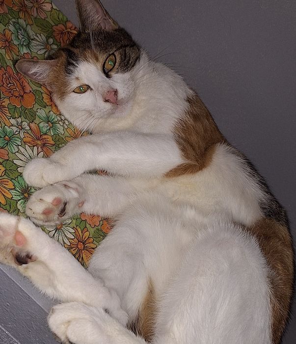 Самым ответственным и порядочным