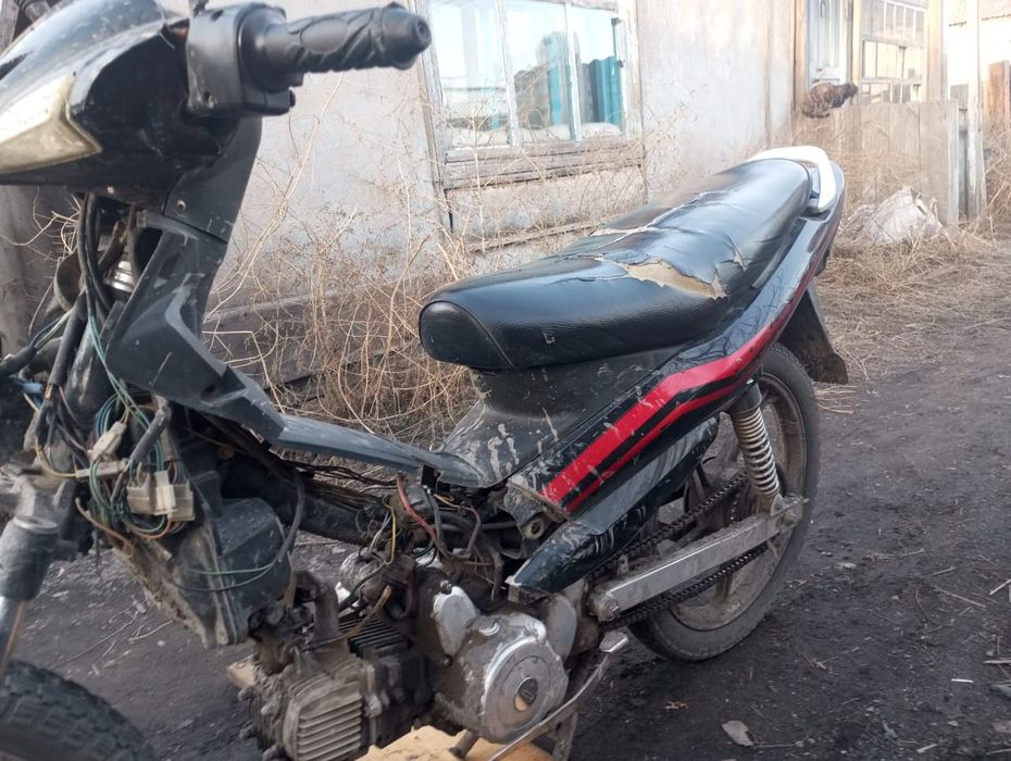 Рейсер индиго  110