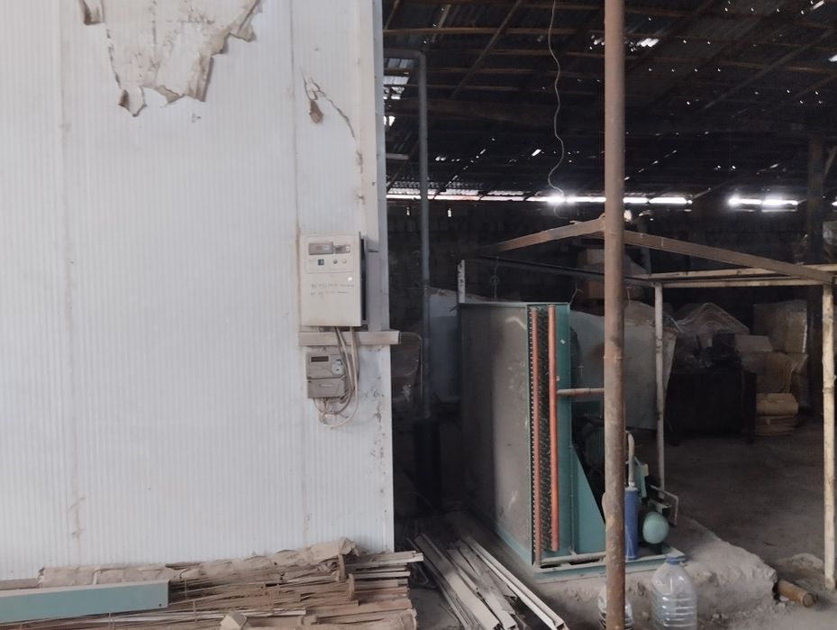 Музлатгич Тошкентда