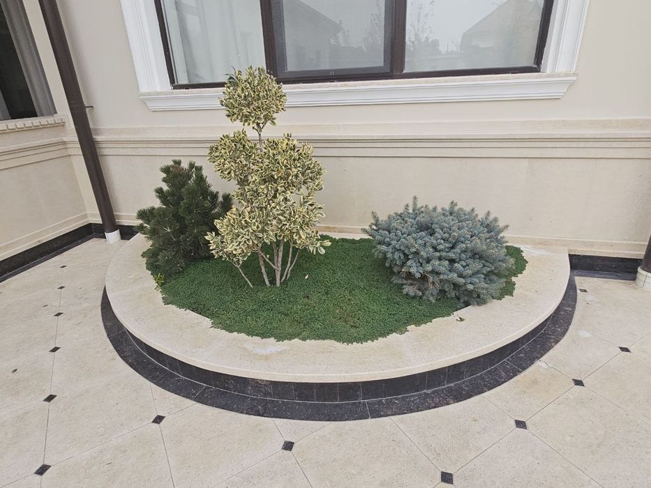 Ландшафтная компания ENTER GREEN LIFE