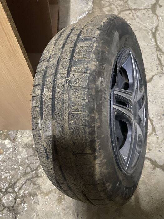 Жаңа балан дискасымен