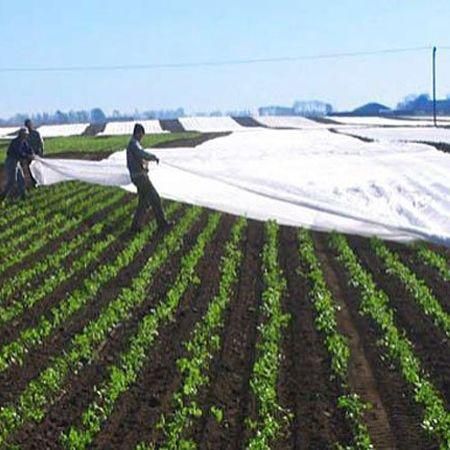 FOLIE MICROPOROASA ANTI INGHET AGRIL 3.2x100m; 4.2x100m; 5.3x100m