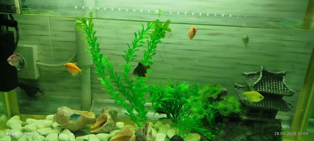 Аквариум в хорошем состоянии