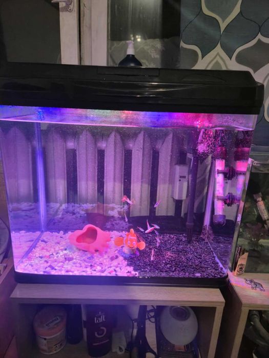 Аквариум RS-500EL - черен + 5 ПОДАРЪКА