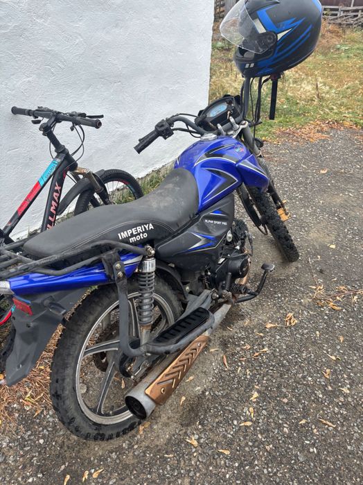 Alpha 125 sort pro