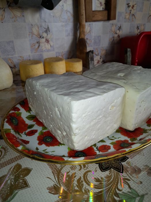 Vînd telemea de oaie de Sibiu maturată din lulie august septembrie