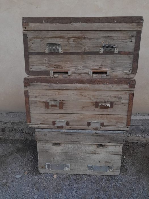 Продам ульи для пчел