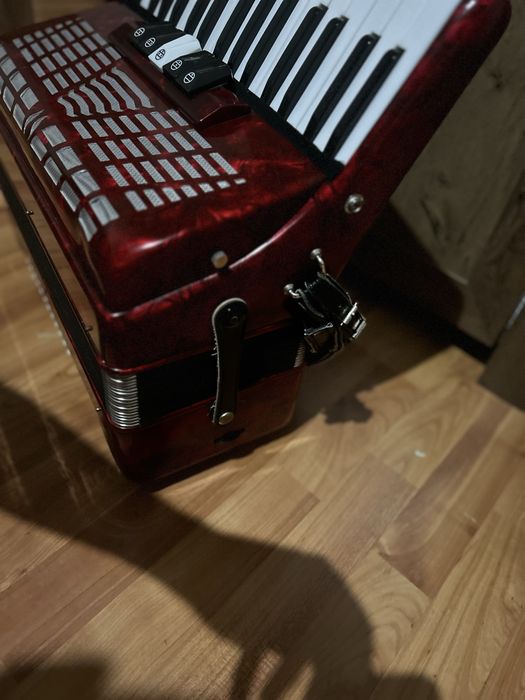 Acordeon parrot rosu top