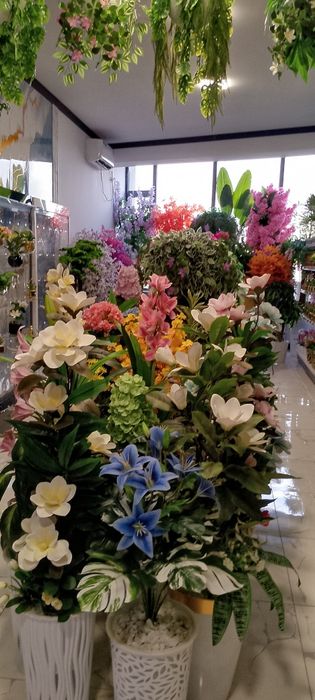 Суний дарахтлар олами суний гуллар.